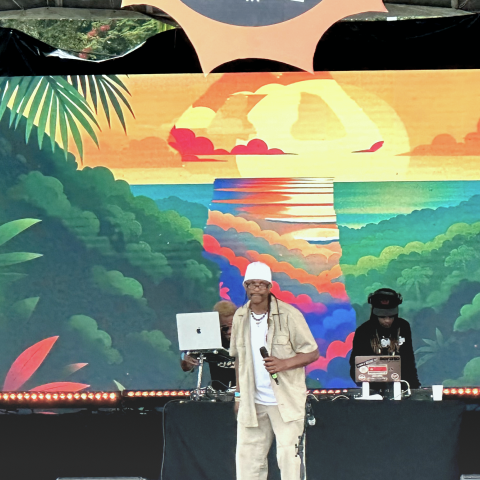 Festival Caribbean Connection design d'interaction