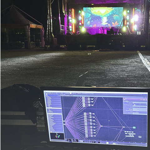 Festival Caribbean Connection design d'interaction