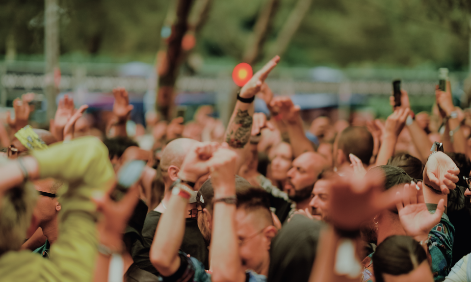 Chiaroscuro Vidéo interactive