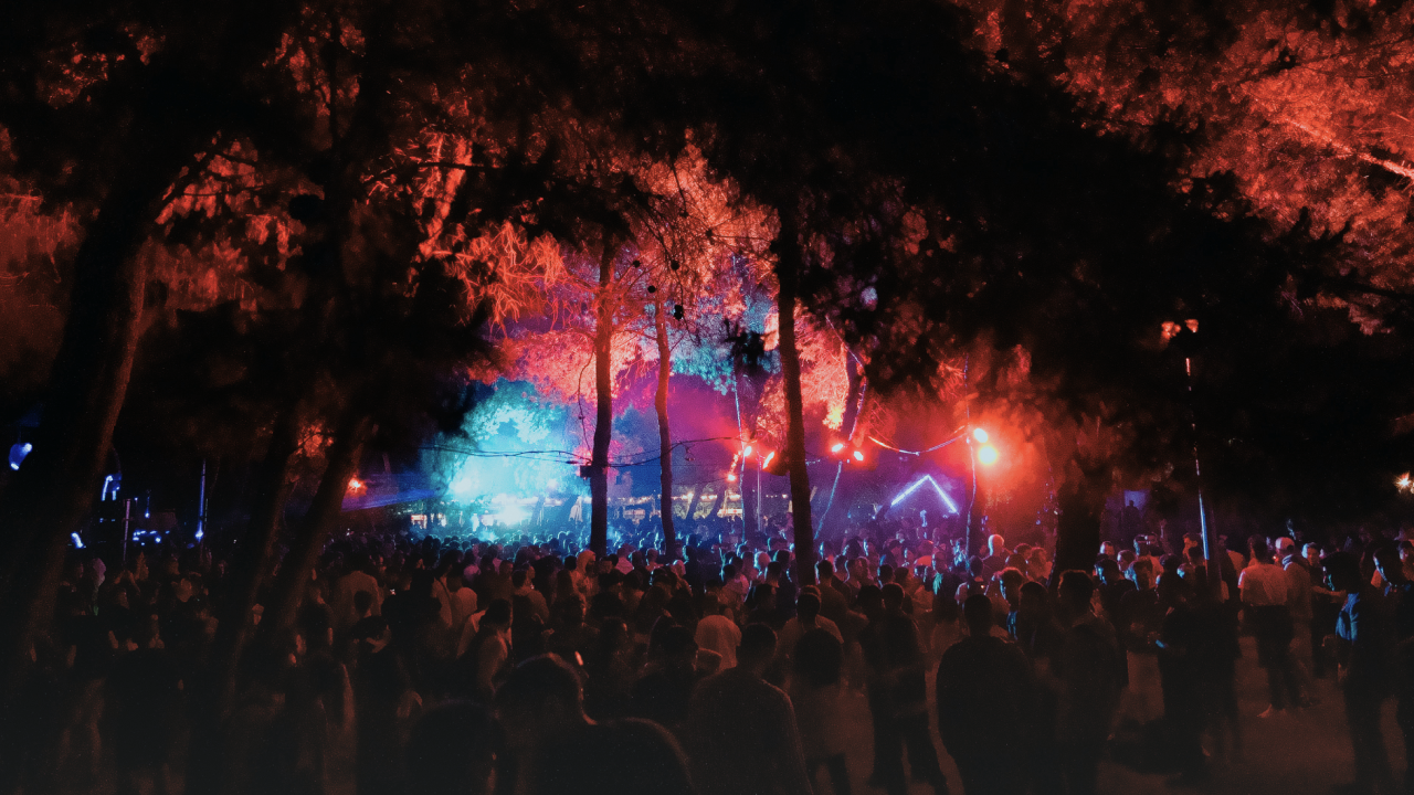 Chiaroscuro Vidéo interactive